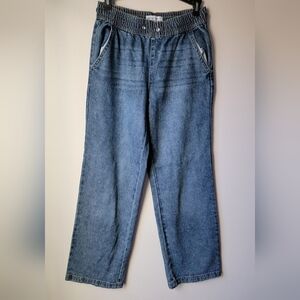 Vanilla Star Striped Blue Denim
